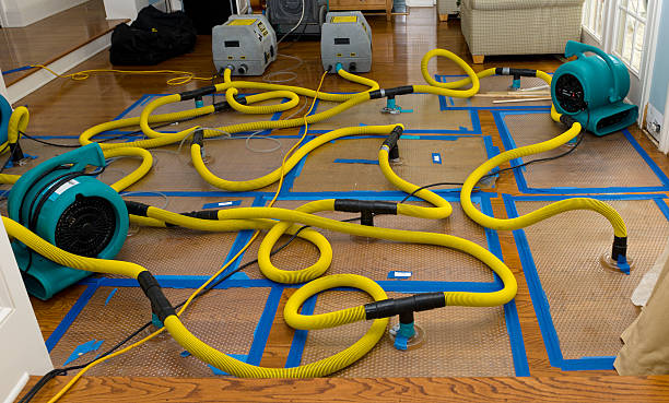 Professional Flood Damage Restoration technician working in Reese, MI